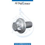 HEXALOBULAR BOLT