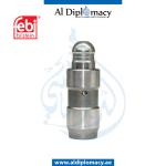 COMPENSATING ELEMENT 24192 18672