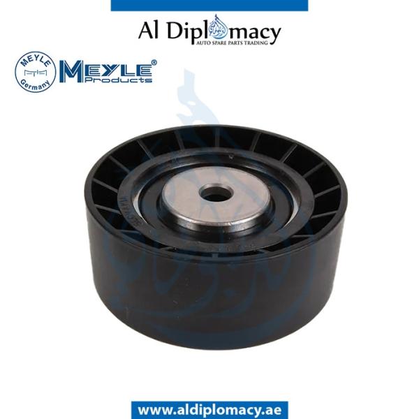 TENSIONER PULLEY 3141120003