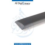 FRONT DOOR MOLDING RIGHT