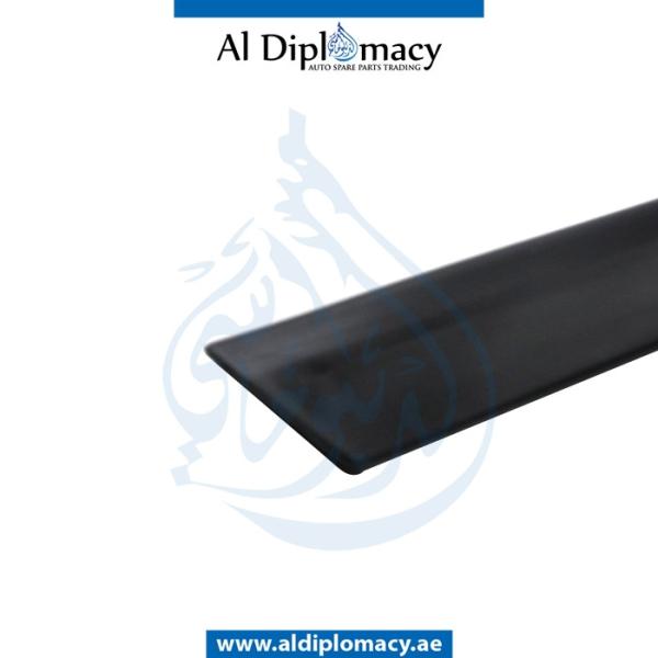 REAR DOOR MOLDING RIGHT