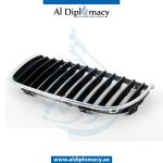 SHOW GRILLE WITH CHROME FRAME LEFT
