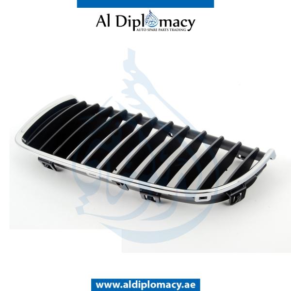 SHOW GRILLE WITH CHROME FRAME LEFT