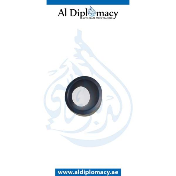 FOG LAMP COVER SET