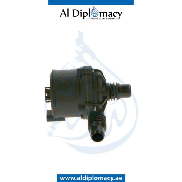 AUXILIARY WATER PUMP